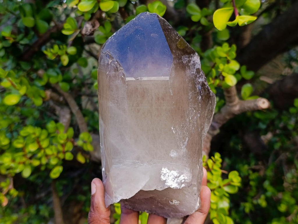 Natural Large Smokey Quartz Crystals x 2 From Mulanje, Malawi - Toprock Gemstones and Minerals 