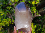 Natural Large Smokey Quartz Crystals x 2 From Mulanje, Malawi - Toprock Gemstones and Minerals 