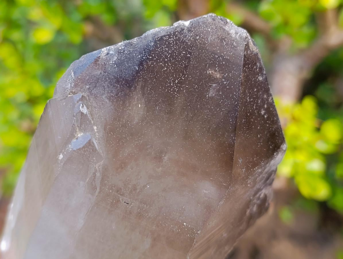 Natural Large Smokey Quartz Crystals x 2 From Mulanje, Malawi - Toprock Gemstones and Minerals 