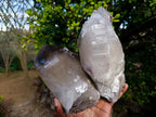 Natural Large Smokey Quartz Crystals x 2 From Mulanje, Malawi - Toprock Gemstones and Minerals 