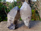 Natural Large Smokey Quartz Crystals x 2 From Mulanje, Malawi - Toprock Gemstones and Minerals 
