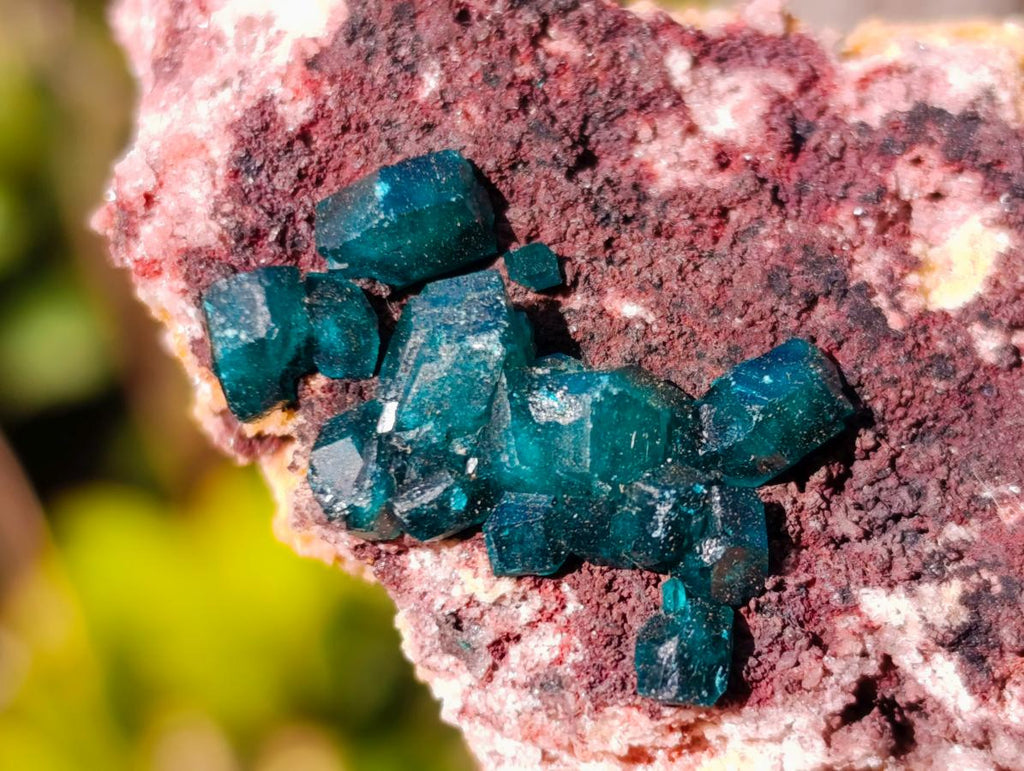 Natural Dioptase on Dolomite Specimens x 6 From Mashamba East Mine, Congo - Toprock Gemstones and Minerals 