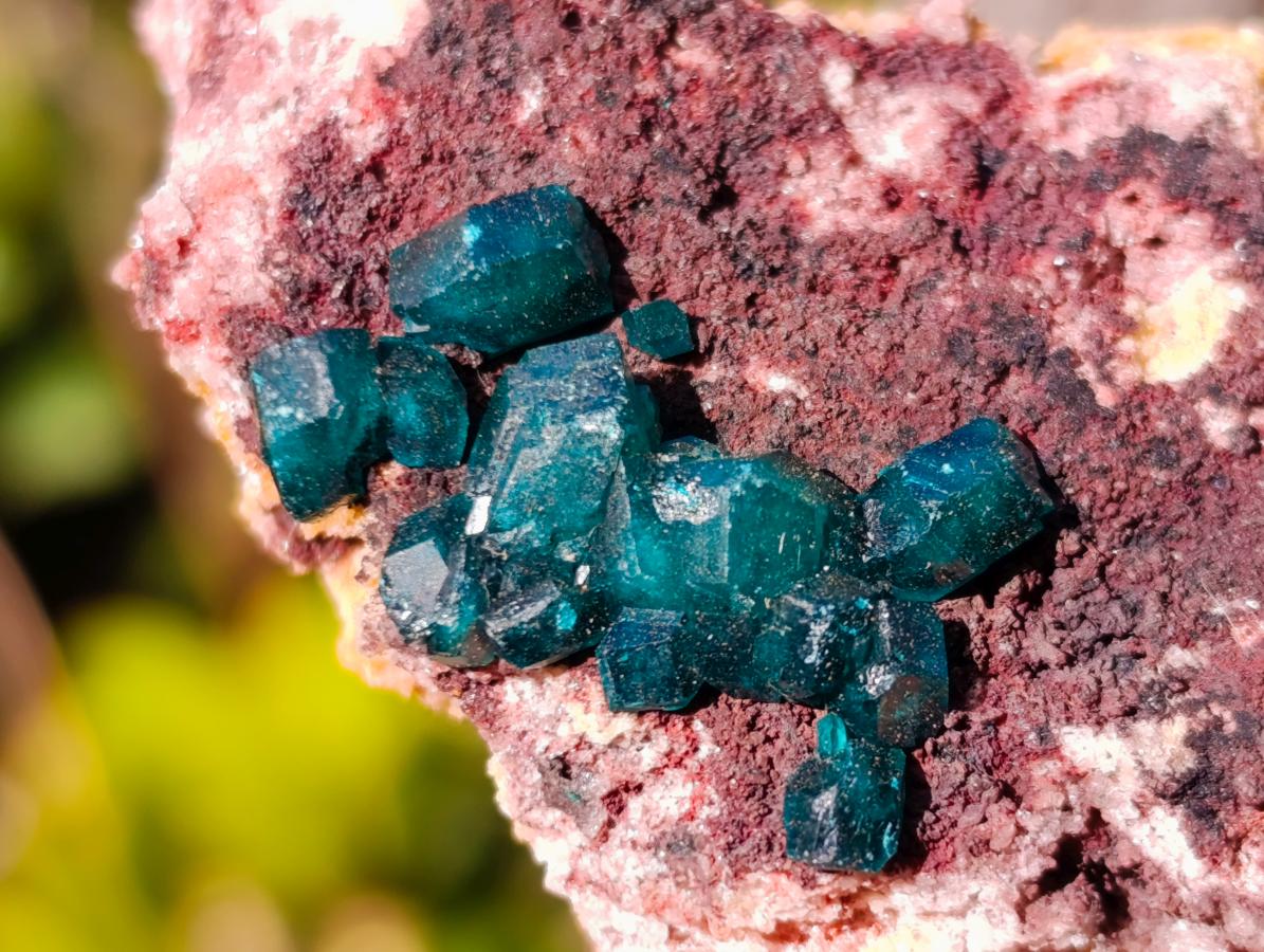 Natural Dioptase on Dolomite Specimens x 6 From Mashamba East Mine, Congo - Toprock Gemstones and Minerals 