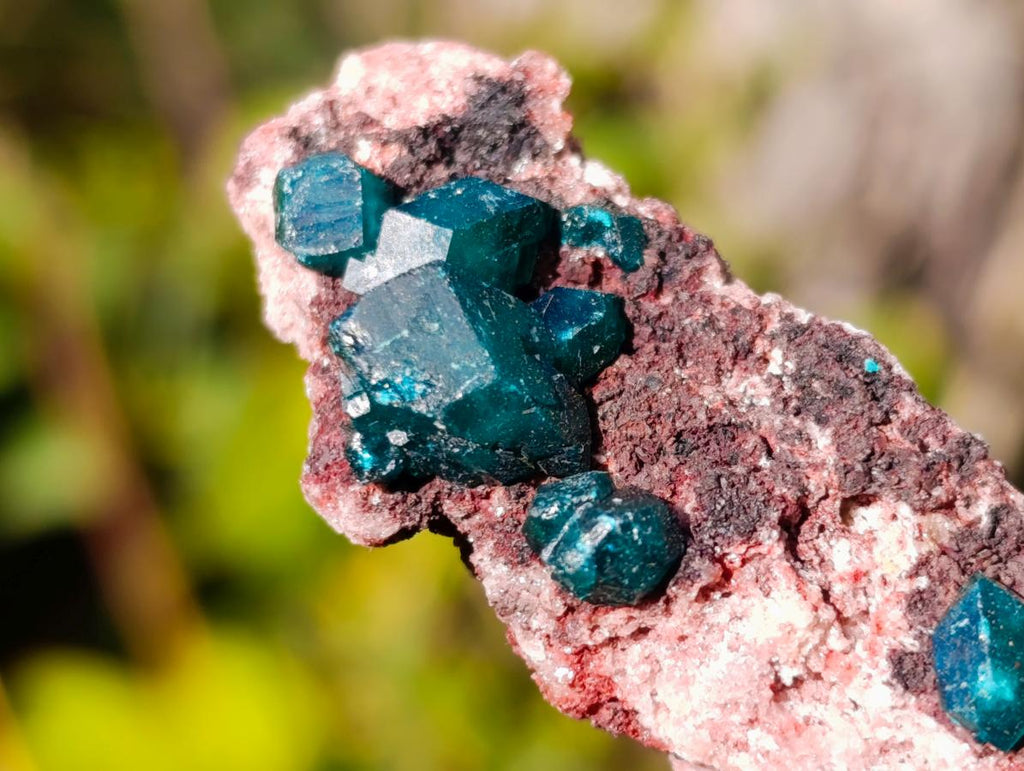 Natural Dioptase on Dolomite Specimens x 6 From Mashamba East Mine, Congo - Toprock Gemstones and Minerals 