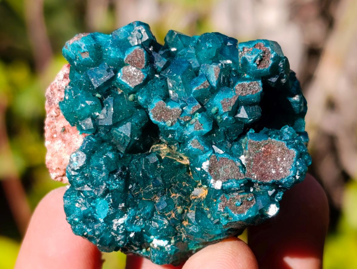 Natural Dioptase on Dolomite Specimens x 6 From Mashamba East Mine, Congo - Toprock Gemstones and Minerals 