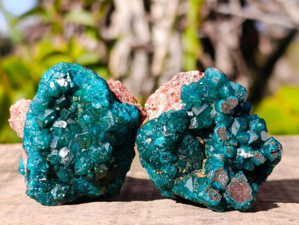 Natural Dioptase on Dolomite Specimens x 6 From Mashamba East Mine, Congo - Toprock Gemstones and Minerals 