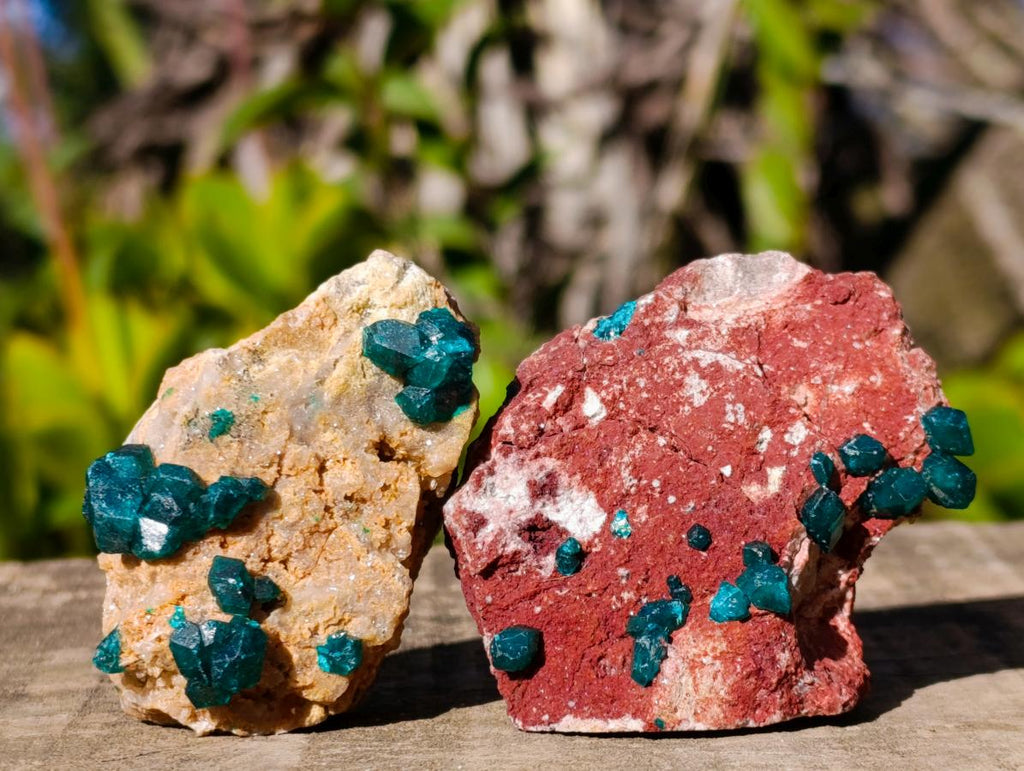 Natural Dioptase on Dolomite Specimens x 6 From Mashamba East Mine, Congo - Toprock Gemstones and Minerals 