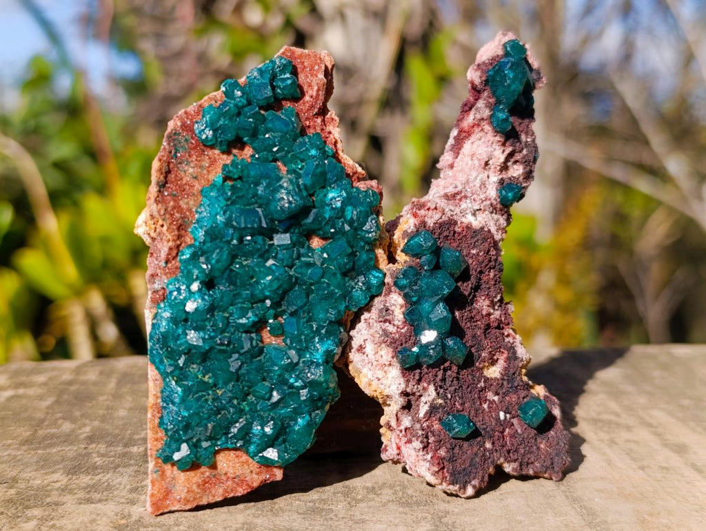Natural Dioptase on Dolomite Specimens x 6 From Mashamba East Mine, Congo - Toprock Gemstones and Minerals 