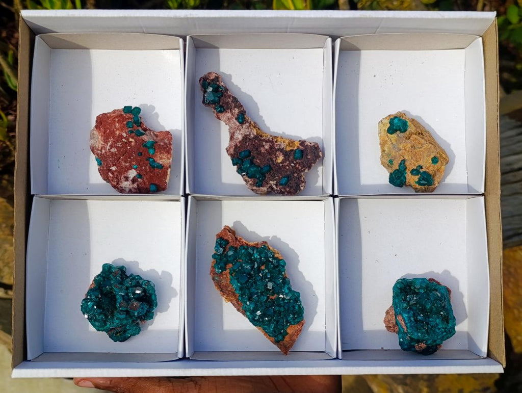 Natural Dioptase on Dolomite Specimens x 6 From Mashamba East Mine, Congo - Toprock Gemstones and Minerals 