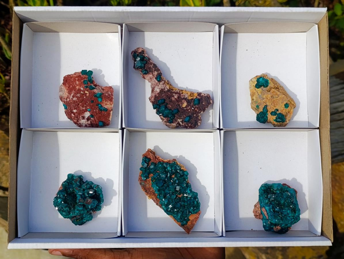 Natural Dioptase on Dolomite Specimens x 6 From Mashamba East Mine, Congo - Toprock Gemstones and Minerals 