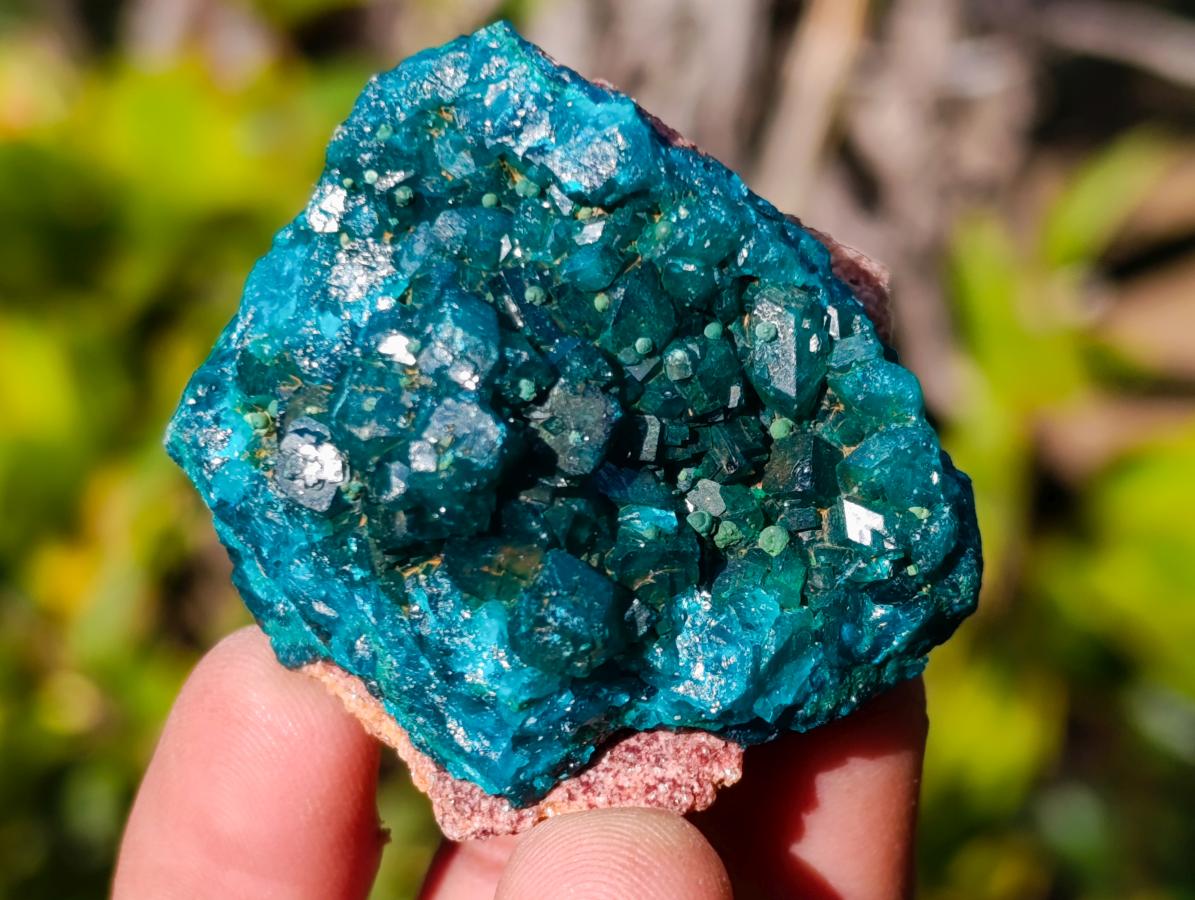 Natural Dioptase on Dolomite Specimens x 6 From Mashamba East Mine, Congo - Toprock Gemstones and Minerals 