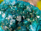 Natural Dioptase on Dolomite Specimens x 6 From Mashamba East Mine, Congo - Toprock Gemstones and Minerals 