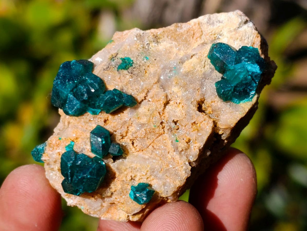 Natural Dioptase on Dolomite Specimens x 6 From Mashamba East Mine, Congo - Toprock Gemstones and Minerals 