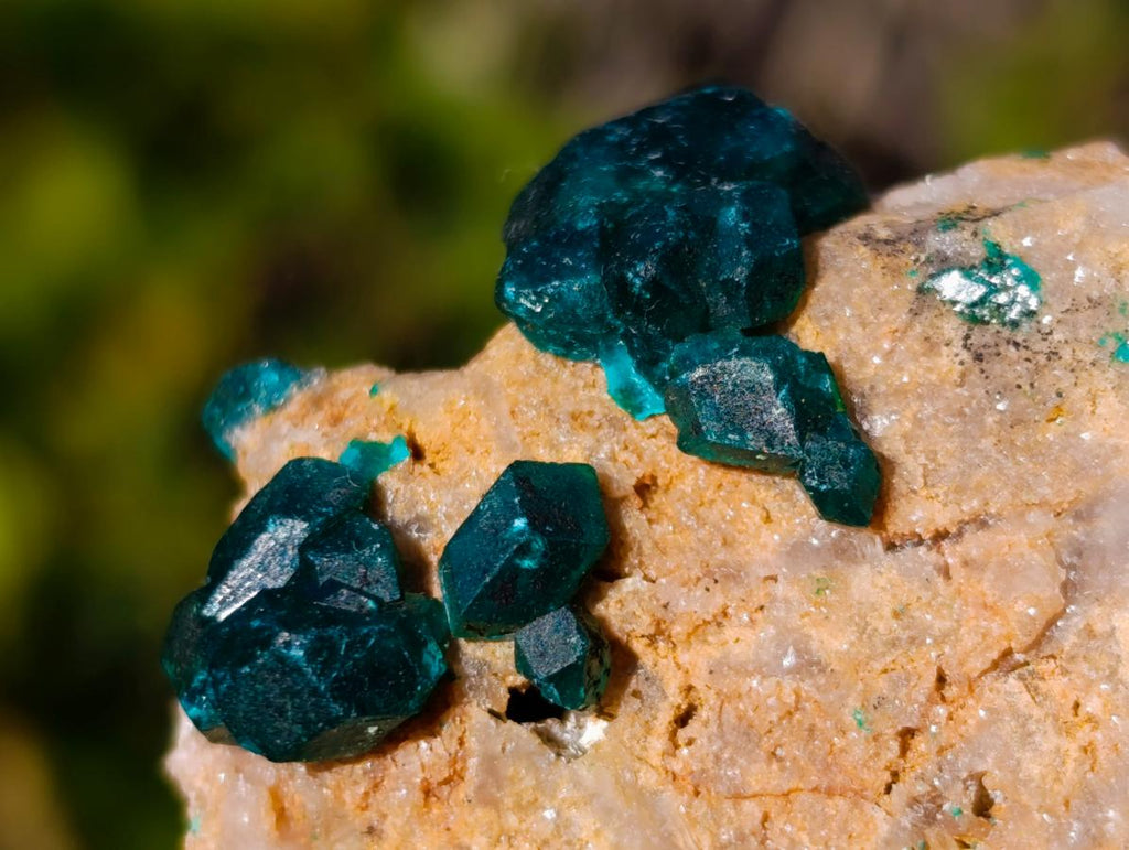 Natural Dioptase on Dolomite Specimens x 6 From Mashamba East Mine, Congo - Toprock Gemstones and Minerals 
