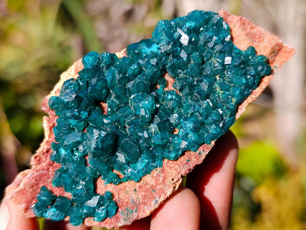 Natural Dioptase on Dolomite Specimens x 6 From Mashamba East Mine, Congo - Toprock Gemstones and Minerals 