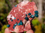 Natural Dioptase on Dolomite Specimens x 6 From Mashamba East Mine, Congo - Toprock Gemstones and Minerals 