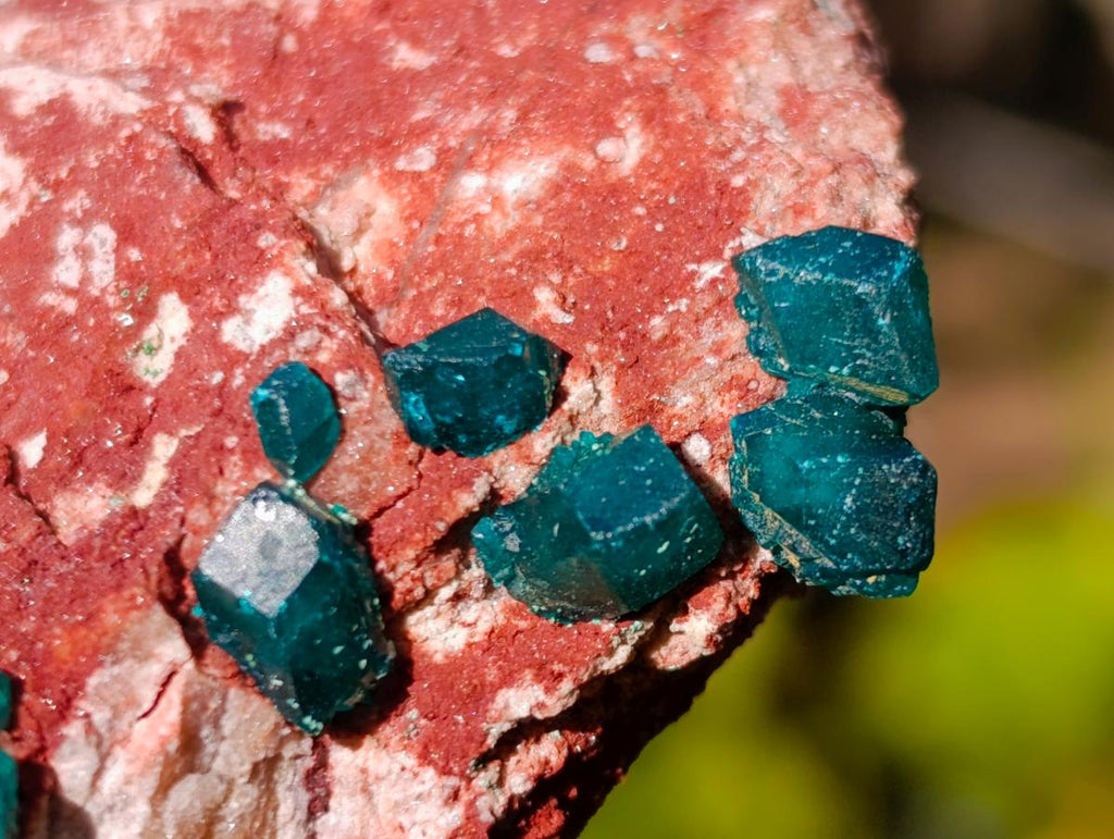 Natural Dioptase on Dolomite Specimens x 6 From Mashamba East Mine, Congo - Toprock Gemstones and Minerals 