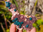 Natural Dioptase on Dolomite Specimens x 6 From Mashamba East Mine, Congo - Toprock Gemstones and Minerals 