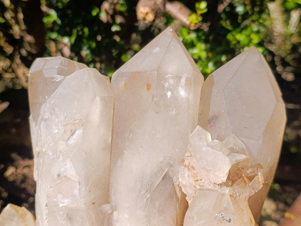 Natural XL Smokey Angolan Quartz Cluster x 1 From Angola - Toprock Gemstones and Minerals 