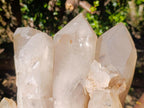 Natural XL Smokey Angolan Quartz Cluster x 1 From Angola - Toprock Gemstones and Minerals 
