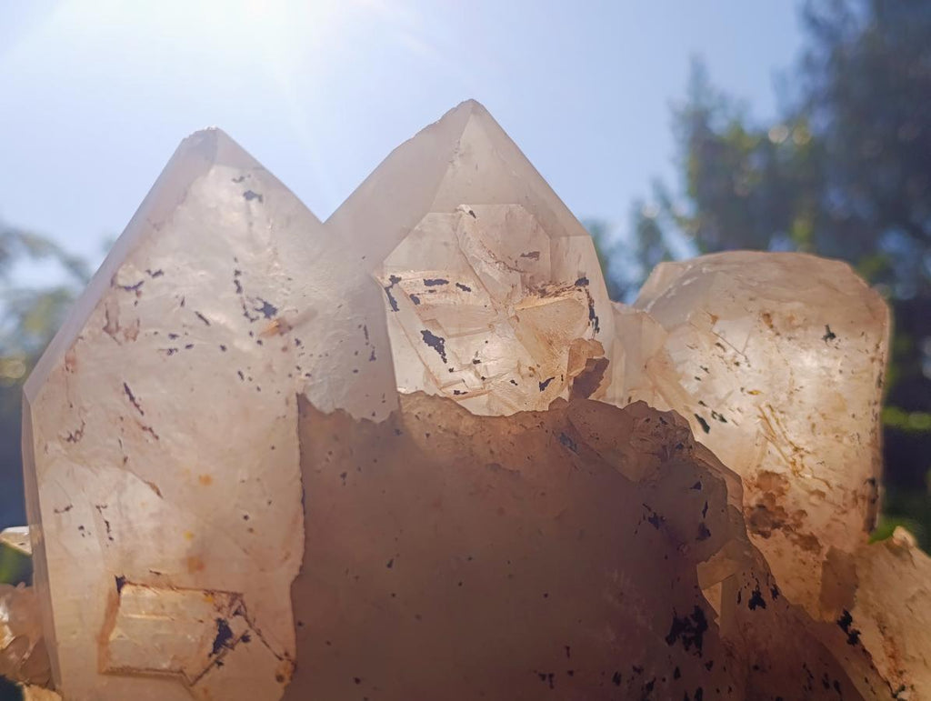 Natural XL Smokey Angolan Quartz Cluster x 1 From Angola - Toprock Gemstones and Minerals 