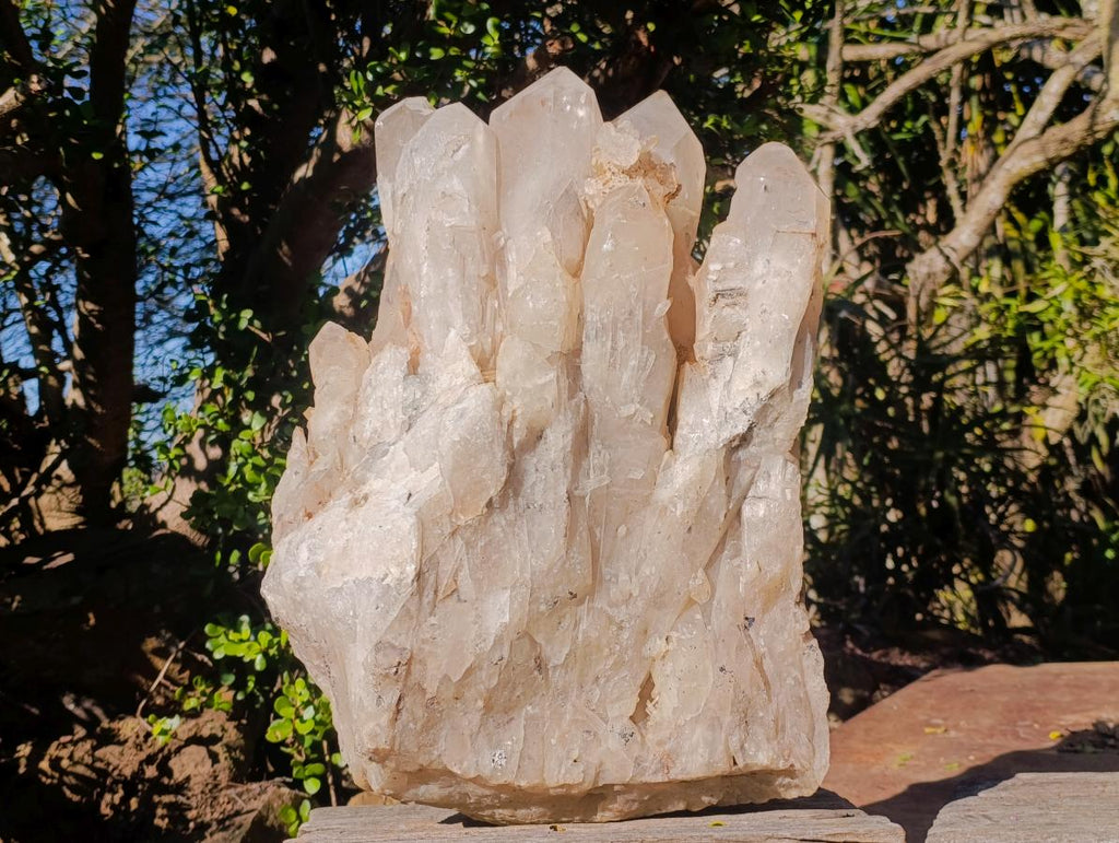 Natural XL Smokey Angolan Quartz Cluster x 1 From Angola - Toprock Gemstones and Minerals 