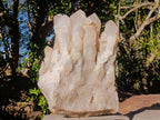 Natural XL Smokey Angolan Quartz Cluster x 1 From Angola - Toprock Gemstones and Minerals 