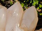 Natural XL Smokey Angolan Quartz Cluster x 1 From Angola - Toprock Gemstones and Minerals 