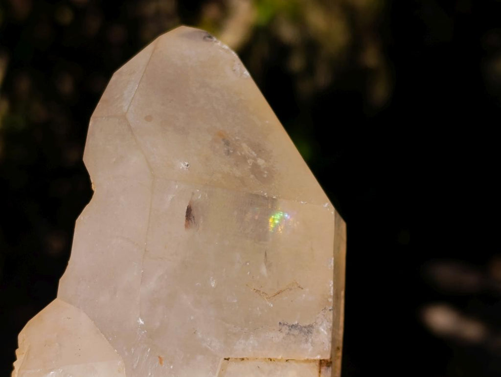 Natural XL Smokey Angolan Quartz Cluster x 1 From Angola - Toprock Gemstones and Minerals 