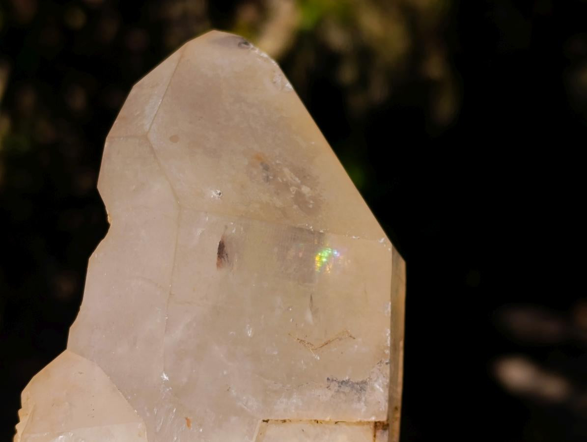 Natural XL Smokey Angolan Quartz Cluster x 1 From Angola - Toprock Gemstones and Minerals 