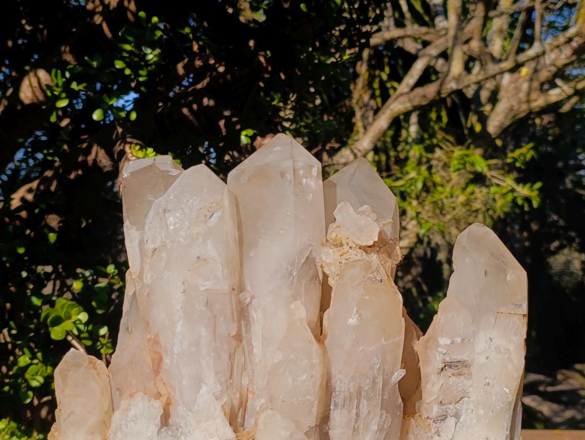 Natural XL Smokey Angolan Quartz Cluster x 1 From Angola - Toprock Gemstones and Minerals 
