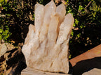 Natural XL Smokey Angolan Quartz Cluster x 1 From Angola - Toprock Gemstones and Minerals 