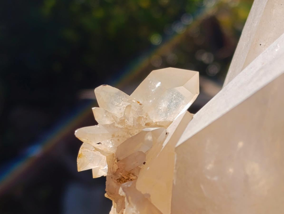 Natural XL Smokey Angolan Quartz Cluster x 1 From Angola - Toprock Gemstones and Minerals 