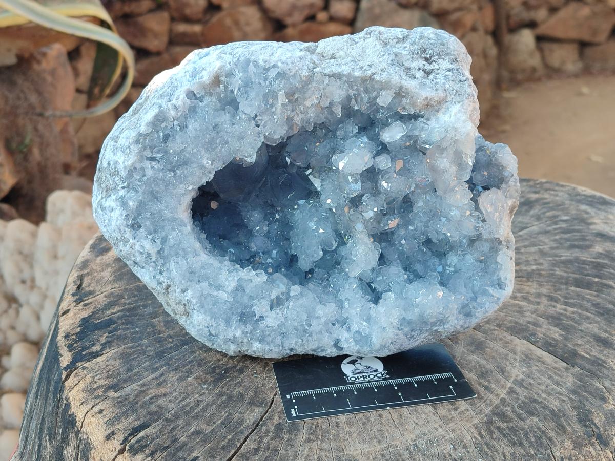 Natural Large Blue Celestite Geode Specimen x 1 From Sakoany, Madagascar - Toprock Gemstones and Minerals 