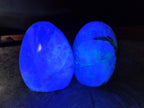 Polished Green Fluorite Standing Display Pieces x 2 From Madagascar - Toprock Gemstones and Minerals 
