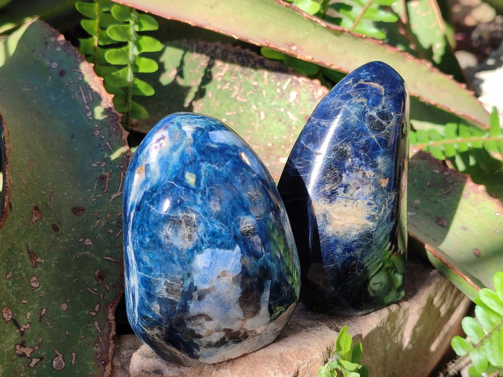 Polished Dumortierite Standing Display Pieces x 4 From Madagascar - Toprock Gemstones and Minerals 