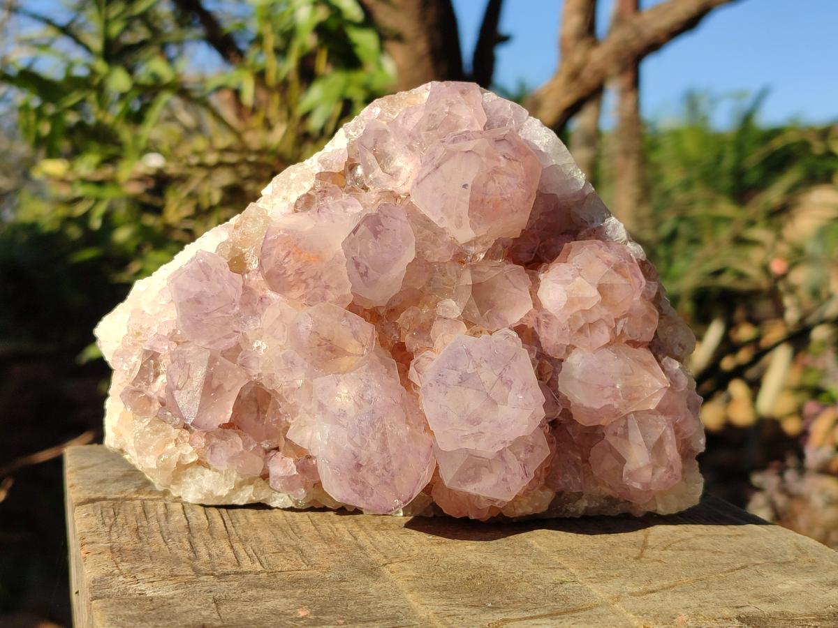 Natural Sunburst Spirit Amethyst Clusters x 3 From Boekenhouthoek, South Africa - Toprock Gemstones and Minerals 