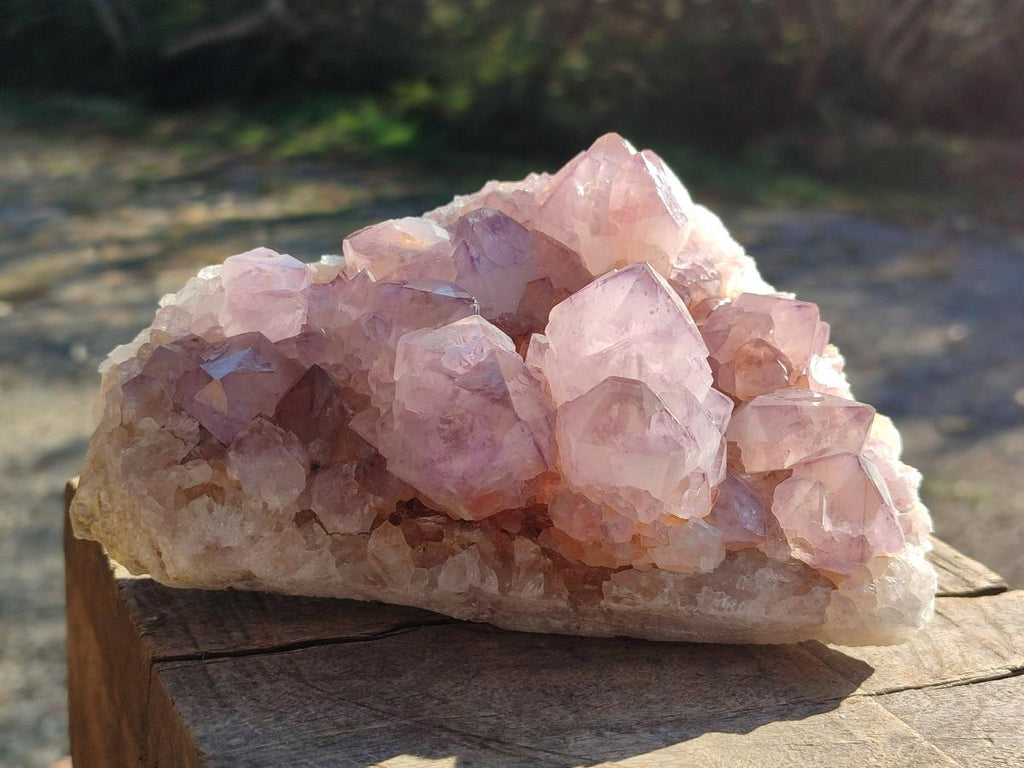 Natural Sunburst Spirit Amethyst Clusters x 3 From Boekenhouthoek, South Africa - Toprock Gemstones and Minerals 
