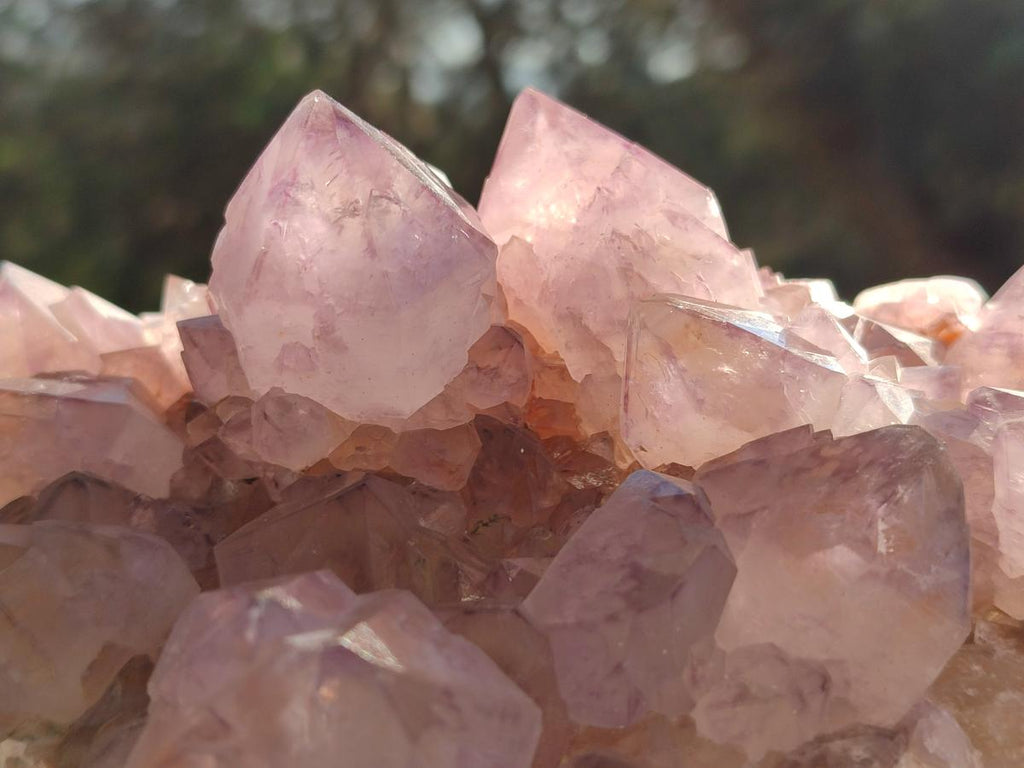 Natural Sunburst Spirit Amethyst Clusters x 3 From Boekenhouthoek, South Africa - Toprock Gemstones and Minerals 