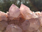 Natural Sunburst Spirit Amethyst Clusters x 3 From Boekenhouthoek, South Africa - Toprock Gemstones and Minerals 