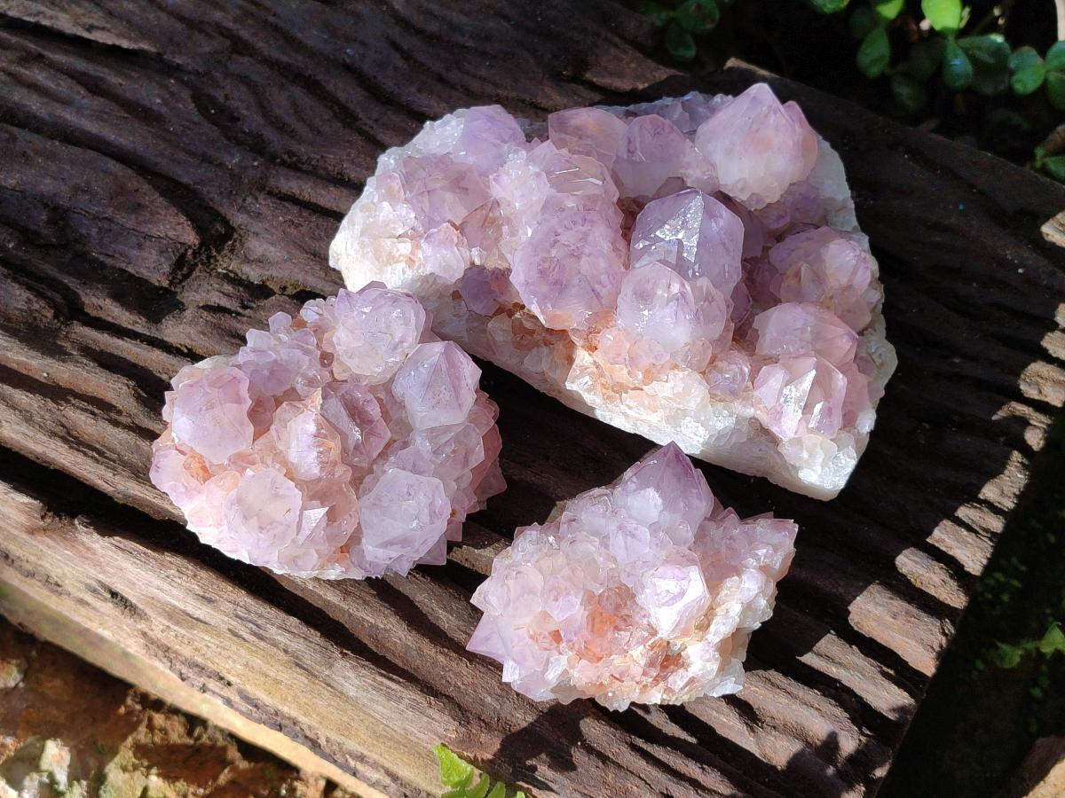 Natural Sunburst Spirit Amethyst Clusters x 3 From Boekenhouthoek, South Africa - Toprock Gemstones and Minerals 