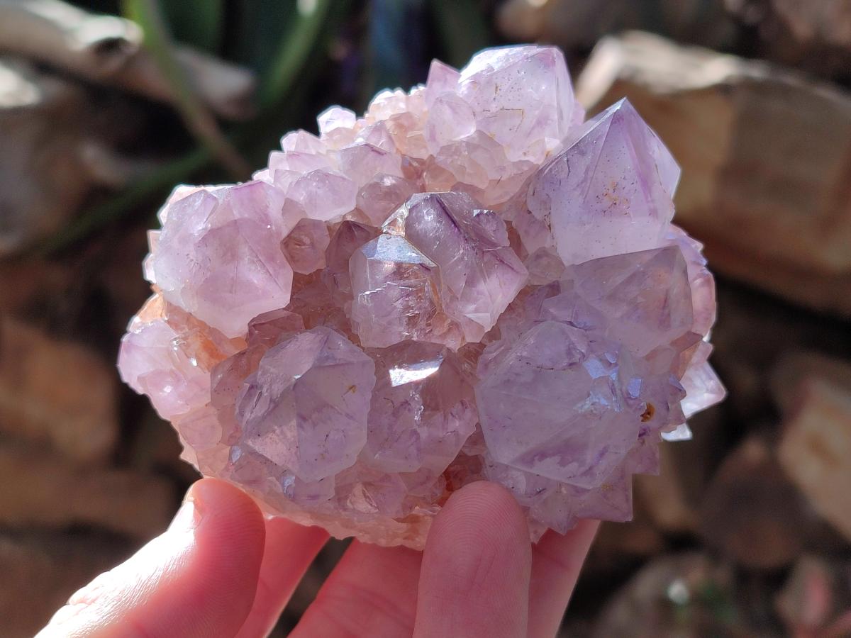 Natural Sunburst Spirit Amethyst Clusters x 3 From Boekenhouthoek, South Africa - Toprock Gemstones and Minerals 