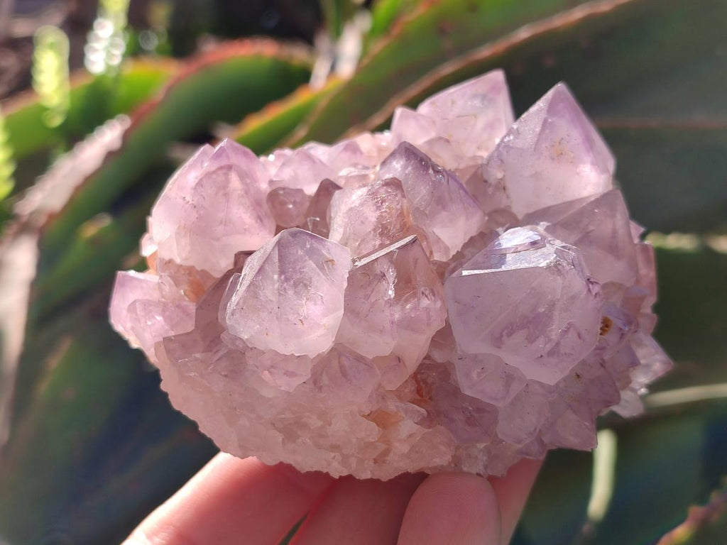 Natural Sunburst Spirit Amethyst Clusters x 3 From Boekenhouthoek, South Africa - Toprock Gemstones and Minerals 