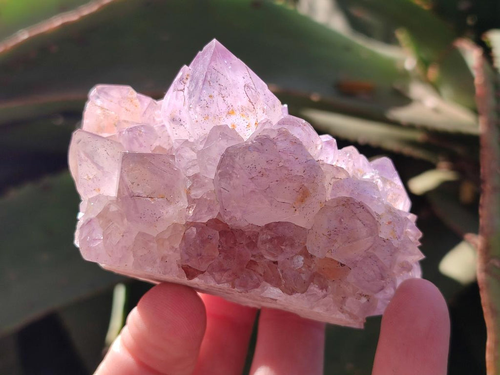 Natural Sunburst Spirit Amethyst Clusters x 3 From Boekenhouthoek, South Africa - Toprock Gemstones and Minerals 