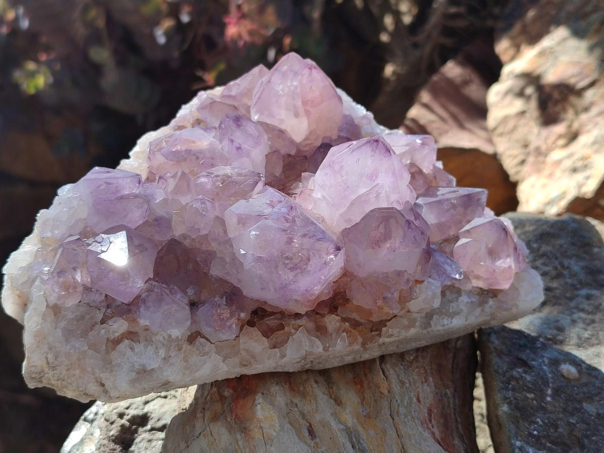 Natural Sunburst Spirit Amethyst Clusters x 3 From Boekenhouthoek, South Africa - Toprock Gemstones and Minerals 