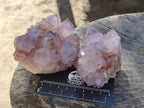 Natural Sunburst Spirit Amethyst Clusters x 3 From Boekenhouthoek, South Africa - Toprock Gemstones and Minerals 