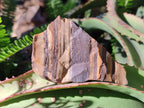 Natural Multi Mineral Specimens x 12 From Southern Africa - Toprock Gemstones and Minerals 