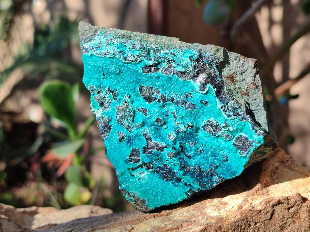 Natural Multi Mineral Specimens x 12 From Southern Africa - Toprock Gemstones and Minerals 