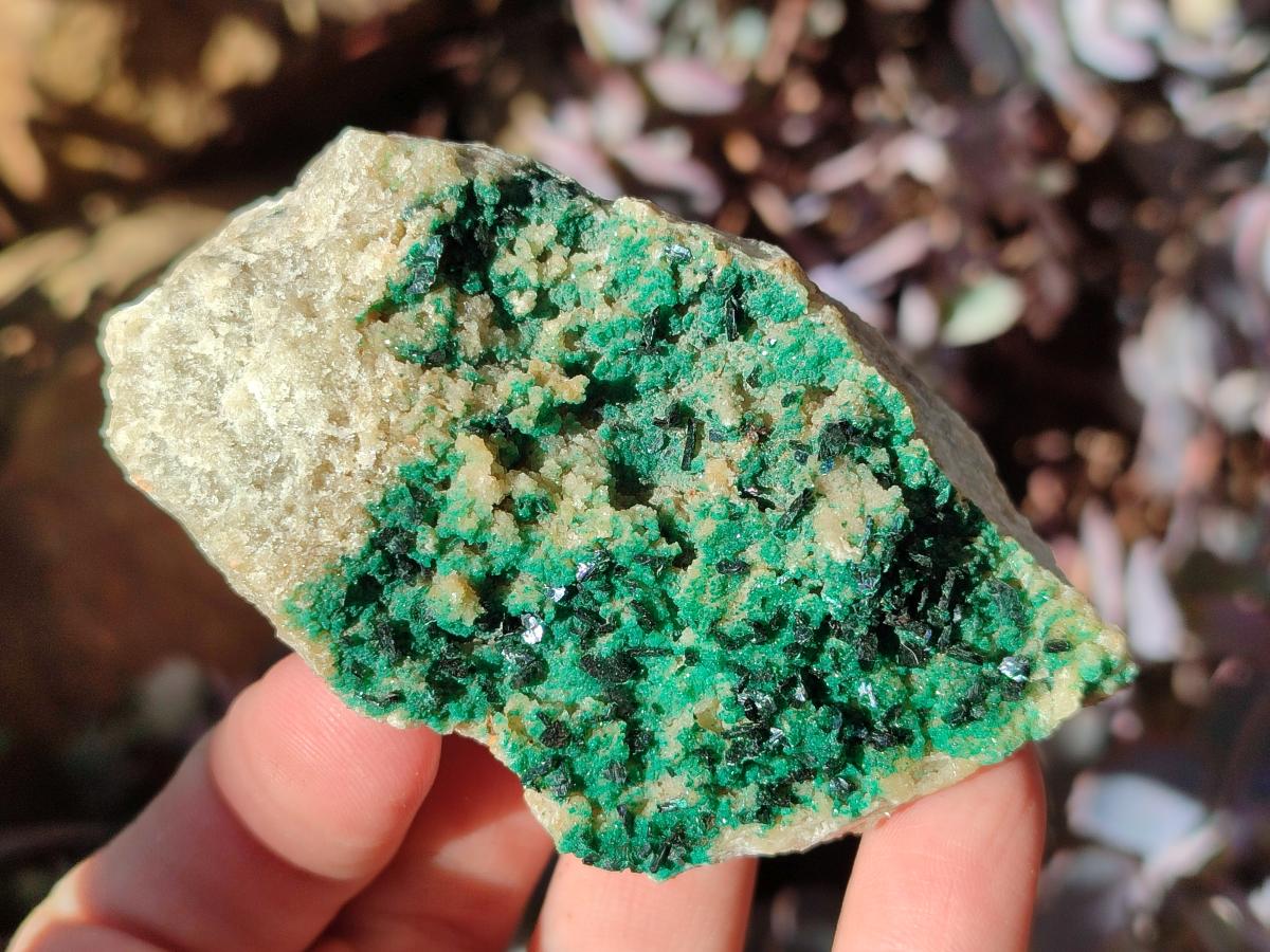 Natural Multi Mineral Specimens x 12 From Southern Africa - Toprock Gemstones and Minerals 