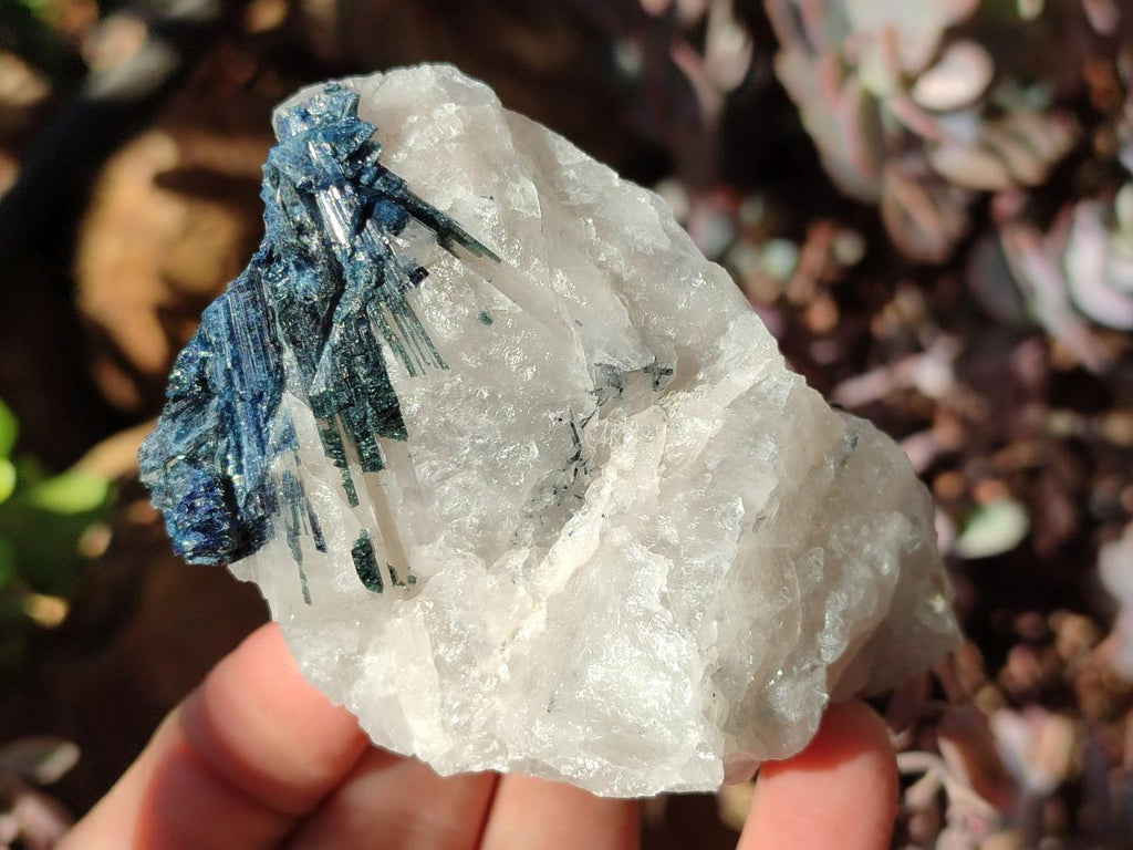 Natural Multi Mineral Specimens x 12 From Southern Africa - Toprock Gemstones and Minerals 